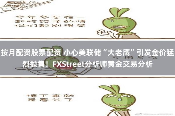 按月配资股票配资 小心美联储“大老鹰”引发金价猛烈抛售！FXStreet分析师黄金交易分析