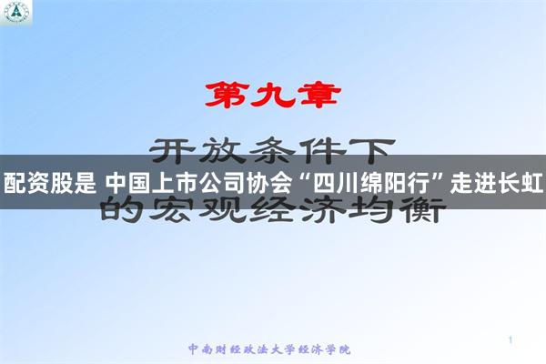 配资股是 中国上市公司协会“四川绵阳行”走进长虹