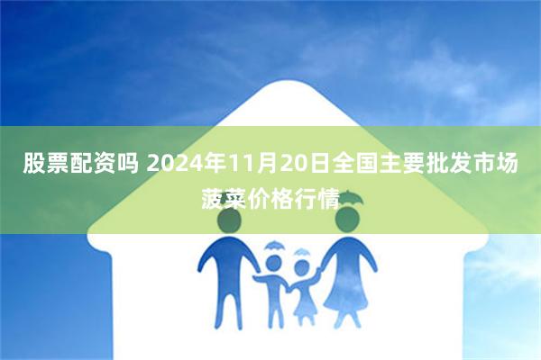 股票配资吗 2024年11月20日全国主要批发市场菠菜价格行情